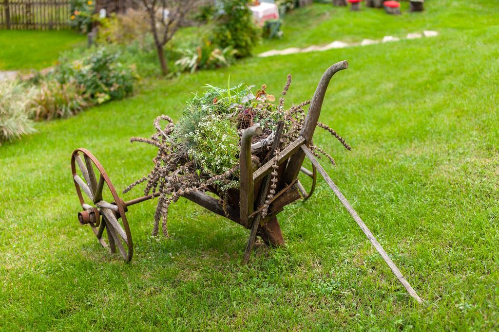 Country House "Stricev Grunt" Stara Kapela Pensionat Værelse billede